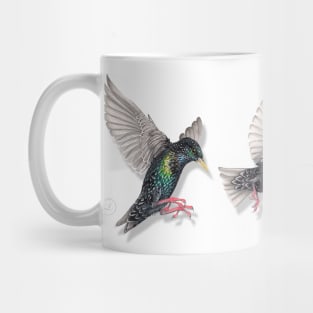 Starling Trio Mug